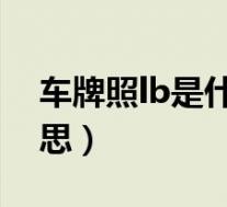 车牌照lb是什么意思(LB车牌号代表什么意思)