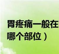 胃疼痛一般在哪个部位示意图(胃疼痛一般在哪个部位)