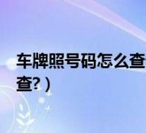 车牌照号码怎么查询车主电话(车牌号码查询车主电话怎么查?)