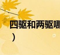 四驱和两驱哪个贵(四驱和两驱哪个优缺点?)