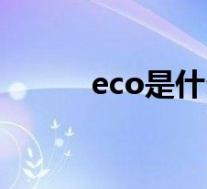 eco是什么梗(eco是什么模式)