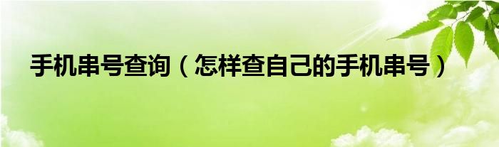 手机串号查询（怎样查自己的手机串号）