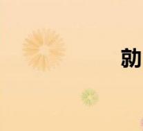 勍（关于勍的介绍）