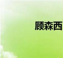 顾森西(关于顾森西的介绍)