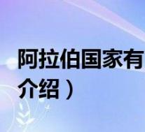 阿拉伯国家有哪些(关于阿拉伯国家有哪些的介绍)