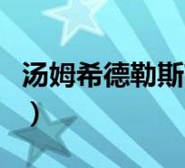 汤姆希德勒斯顿(关于汤姆希德勒斯顿的介绍)