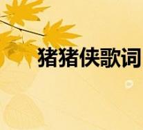 猪猪侠歌词(关于猪猪侠歌词的介绍)