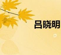 吕晓明(关于吕晓明的介绍)
