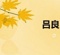 吕良(关于吕良的介绍)