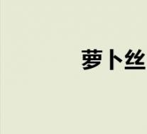 萝卜丝(关于萝卜丝的介绍)
