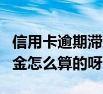 信用卡逾期滞纳金怎么收取(信用卡逾期滞纳金怎么算的呀)