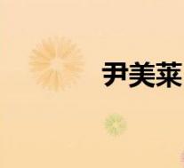 尹美莱(关于尹美莱的介绍)