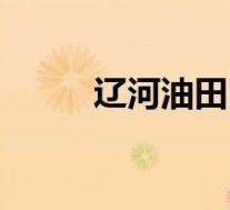 辽河油田(关于辽河油田的介绍)