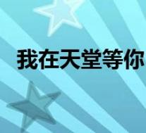 我在天堂等你(关于我在天堂等你的介绍)