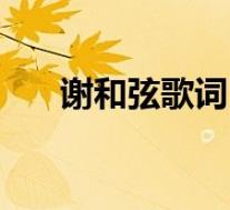 谢和弦歌词(关于谢和弦歌词的介绍)