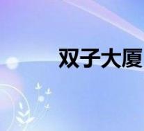 双子大厦(关于双子大厦的介绍)