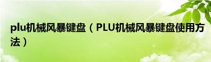 plu机械风暴键盘（PLU机械风暴键盘使用方法）