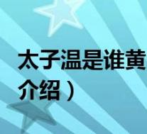 太子温是谁黄光裕(关于太子温是谁黄光裕的介绍)