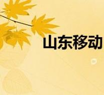 山东移动(关于山东移动的介绍)