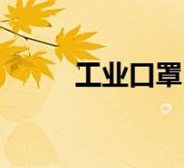 工业口罩(关于工业口罩的介绍)