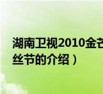 湖南卫视2010金芒果粉丝节(关于湖南卫视2010金芒果粉丝节的介绍)