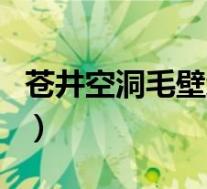 苍井空洞毛壁纸(关于苍井空洞毛壁纸的介绍)