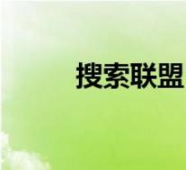 搜索联盟(关于搜索联盟的介绍)