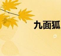 九面狐(关于九面狐的介绍)