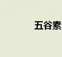 五谷素(关于五谷素的介绍)