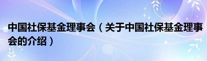 中国社保基金理事会（关于中国社保基金理事会的介绍）