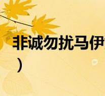 非诚勿扰马伊娜(关于非诚勿扰马伊娜的介绍)
