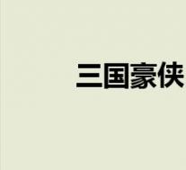 三国豪侠(关于三国豪侠的介绍)