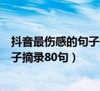 抖音最伤感的句子抖音最霸气句子(常用抖音最火的伤感句子摘录80句)