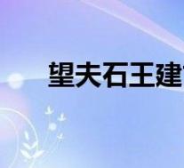 望夫石王建古诗拼音版(望夫石王建)
