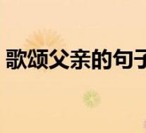 歌颂父亲的句子简短(赞美父亲的句子简短)
