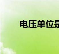 电压单位是啥(电压的单位是什么)