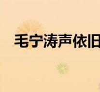毛宁涛声依旧歌词(毛宁 涛声依旧 歌词)