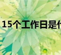 15个工作日是什么意思(工作日是什么意思)