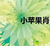 小苹果肖央王太利(肖央王太利)