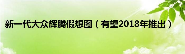 新一代大众辉腾假想图（有望2018年推出）
