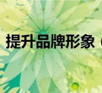 提升品牌形象(吉利三大车标系列曝光(图))