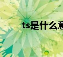 ts是什么意思电影(ts是什么意思)