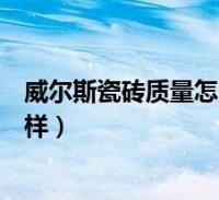 威尔斯瓷砖质量怎么样是二线品牌吗(威尔斯瓷砖质量怎么样)