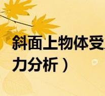 斜面上物体受力分析初中物理(斜面上物体受力分析)