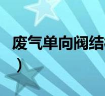 废气单向阀结构(废气单向阀工作原理是什么)