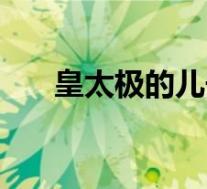 皇太极的儿子有几个(皇太极的儿子)