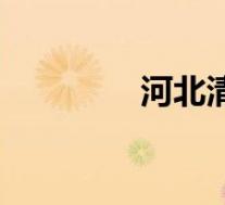 河北清河疫情(河北清河)