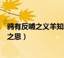 鸦有反哺之义羊知跪乳之恩的道理(鸦有反哺之义羊知跪乳之恩)