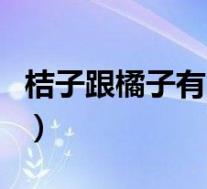 桔子跟橘子有啥区别(桔子和橘子有什么区别)