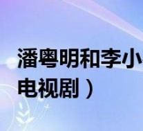 潘粤明和李小冉主演的电视剧(李小冉主演的电视剧)